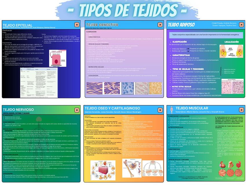 Gráfico Cuadro Comparativo tejidos