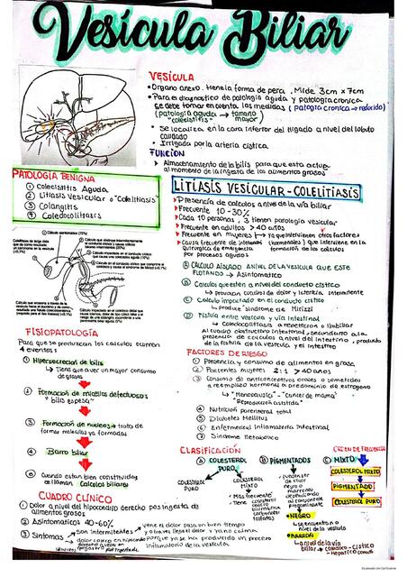 VESICULA BILIAR SEMIOLOGIA