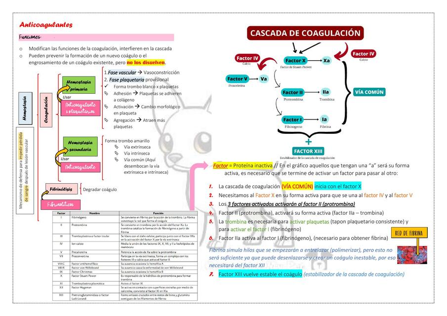 Anticoagulantes