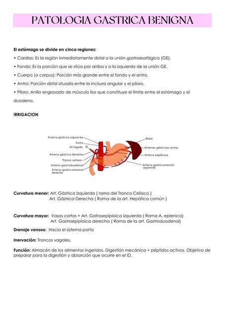 Patología gástrica benigna 