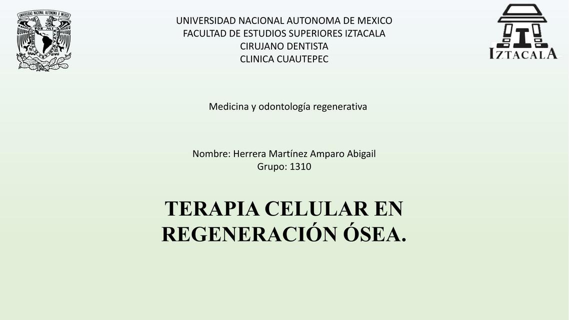 Regeneracion ósea