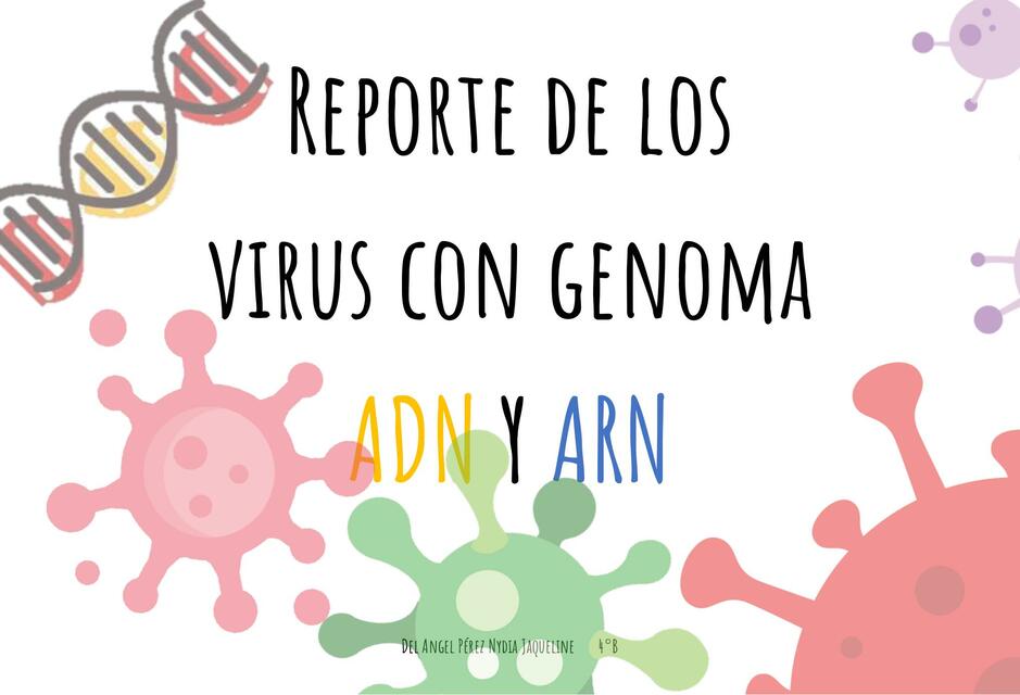 Reporte de los Virus con Genoma ADN y ARN 