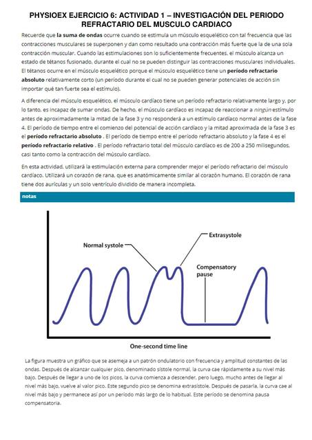 PRACTICA FISIO 5 PHYSIOEX EJERCICIO 6 ACTIVIDAD