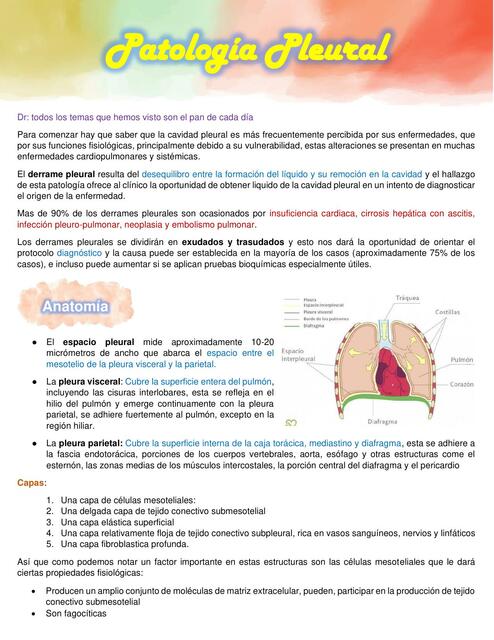 Patología Pleural