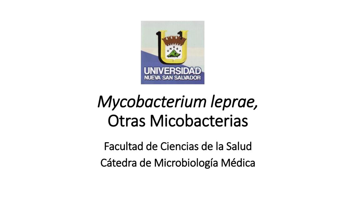 Mycobacterium leprae - Micobacterias