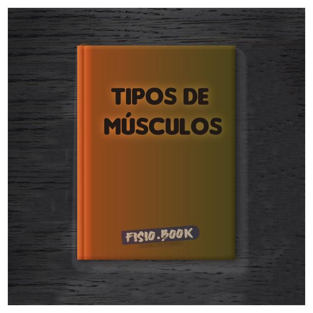 infografia tipos de musculos