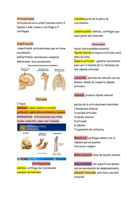 Articulaciones