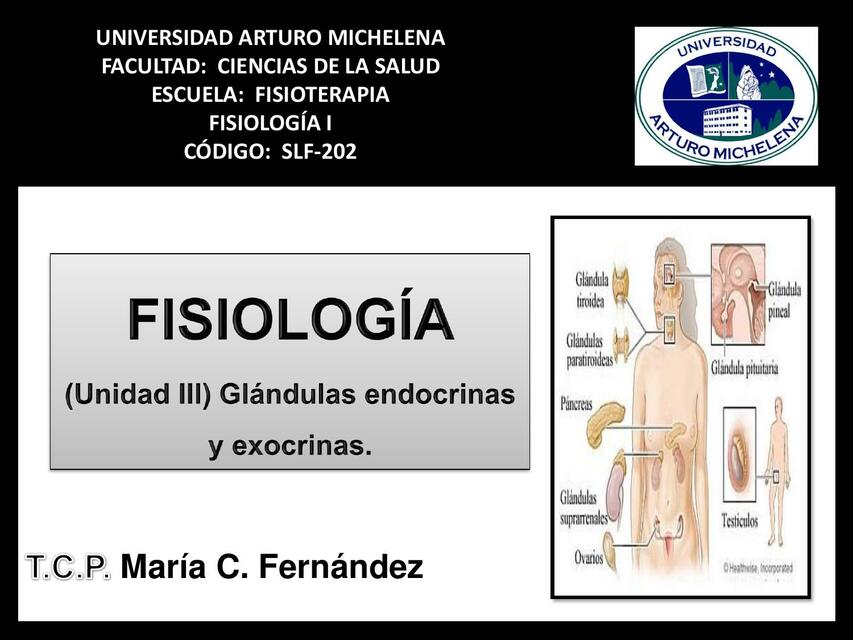 Glándulas Endocrinas y Exocrinas 