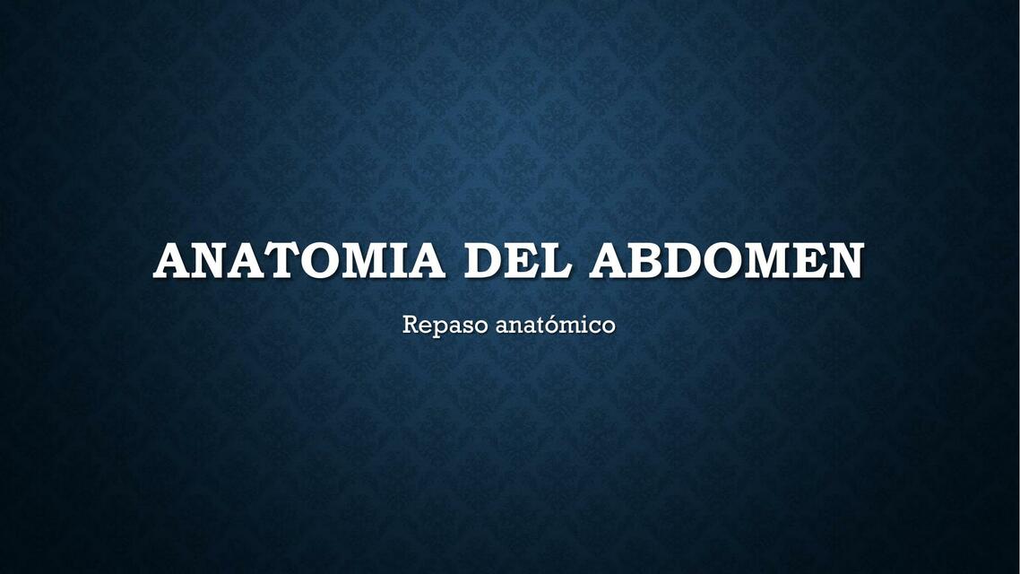 Anatomía del Abdomen