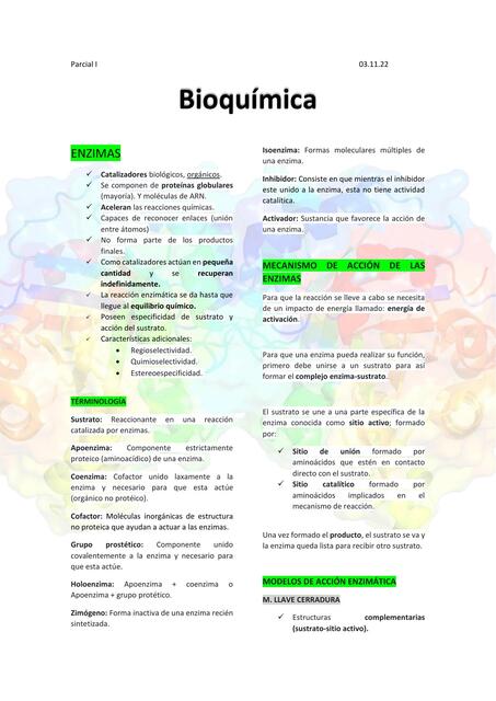 Bioquímica Parcial I