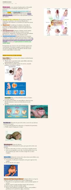 Embriología 