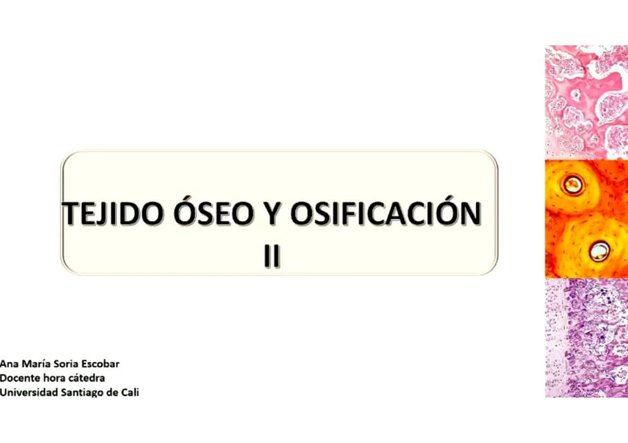 Tejido Óseo y Osificación II 