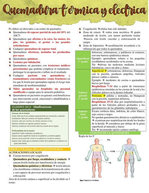 Manejo Del Paciente Quemado Estefany Trabajo Udocz Manejo Del Paciente Quemado Estefany Trabajo Udocz