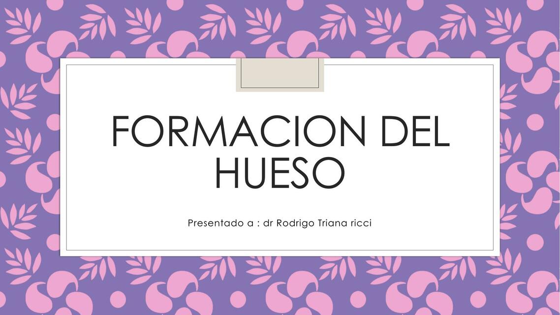 Formación del Hueso 