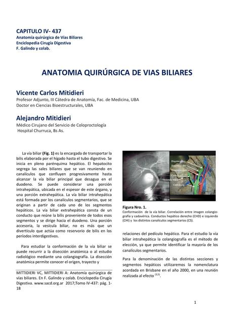 Anatomía quirúrgica de las vías biliares 