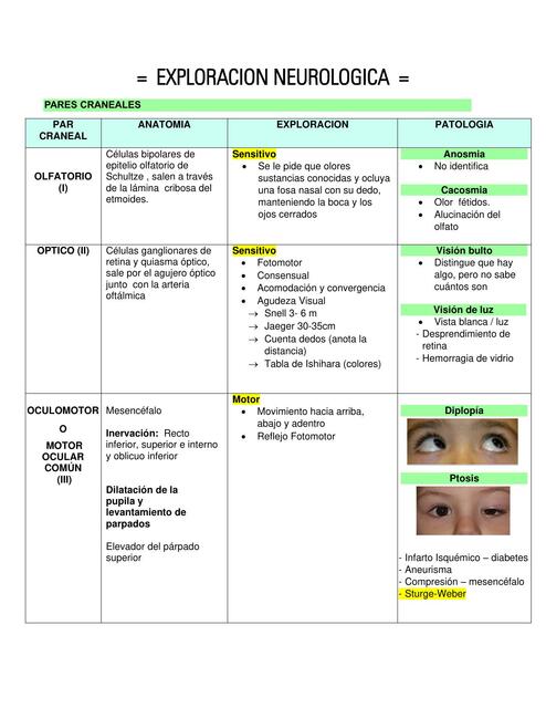 EXPLORACION NEUROLOGICA