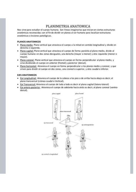 Planimetría Anatómica 