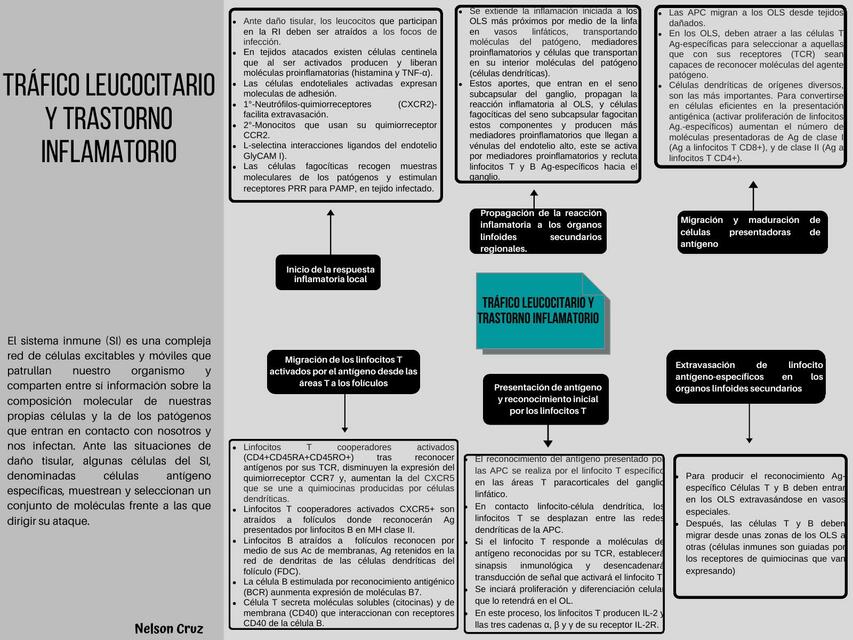 Tráfico leucocitario y trastorno inflamatorio