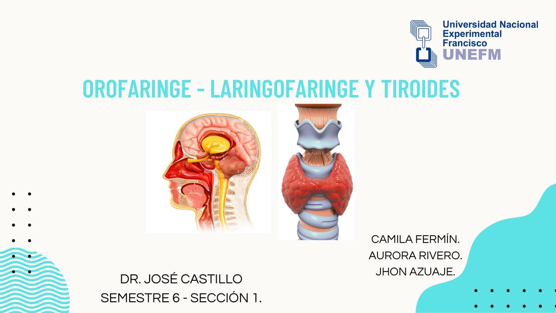 Semiologia de Orofaringe laringofaringe tiroides