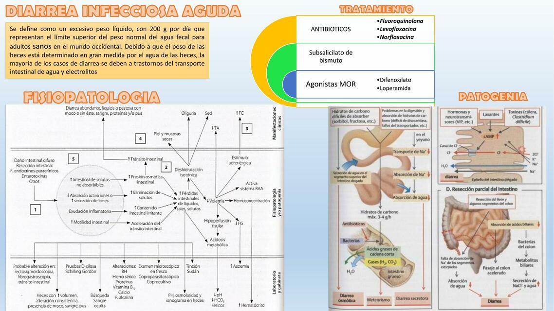 Diarrea infecciosa aguda 