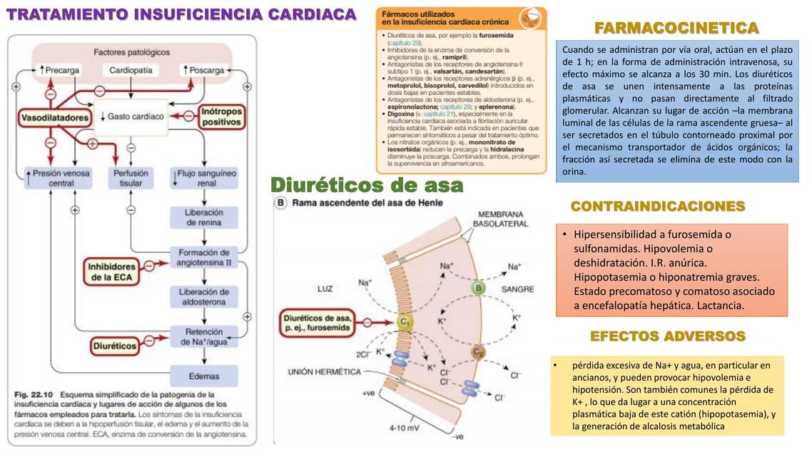 Tratamiento insuficiencia cardíaca  