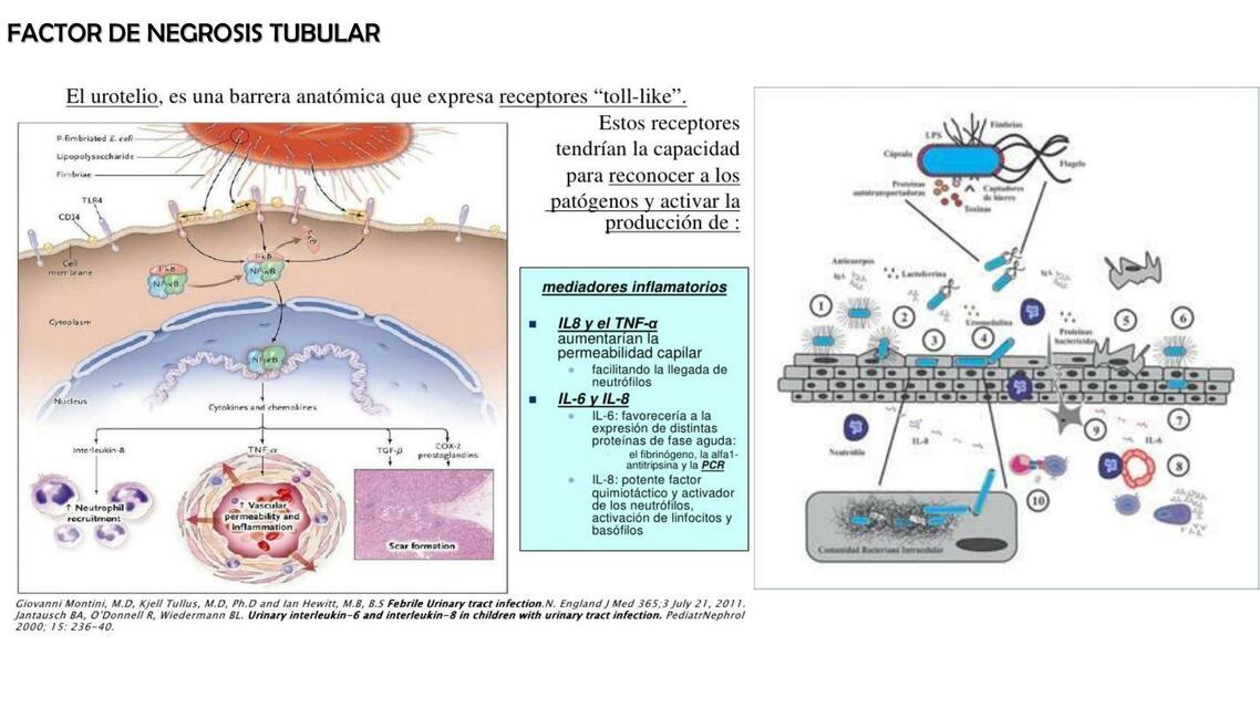 ITU MODULADORES