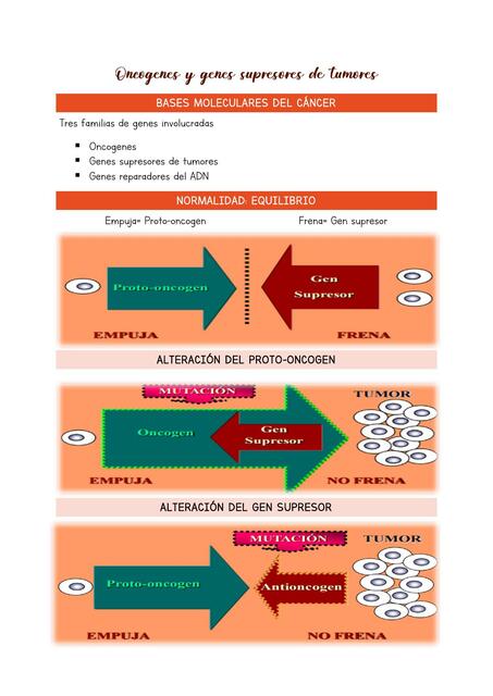 Oncogenes 