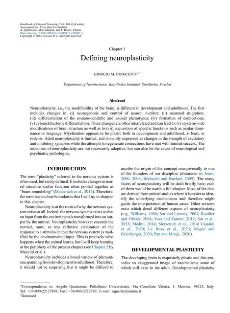 Defining Neuroplasticity