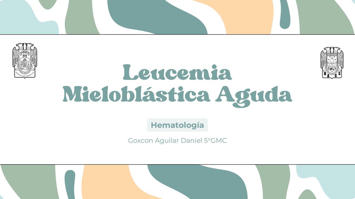 Leucemia Mieloblástica Aguda 