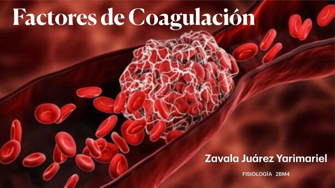 Factores de Coagulación 