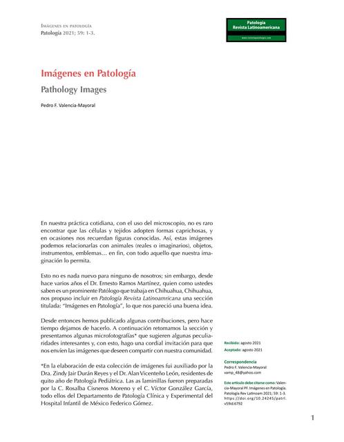 Imágenes en Patología 