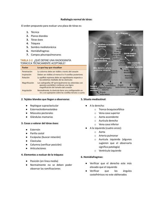 Radiología de tórax