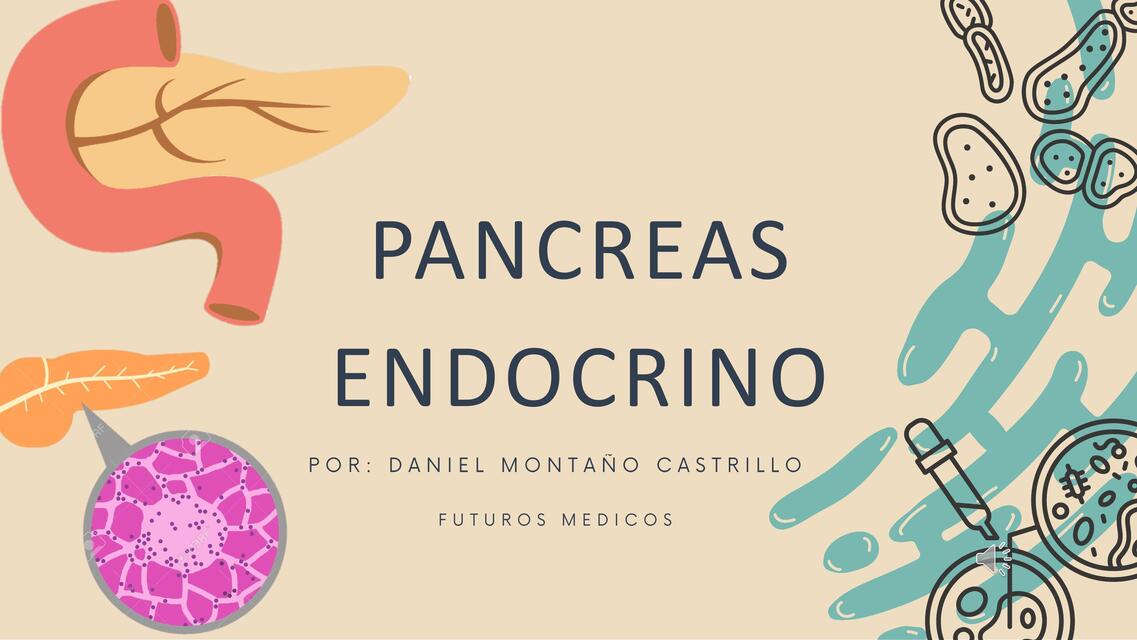 Pancreas endocrino 