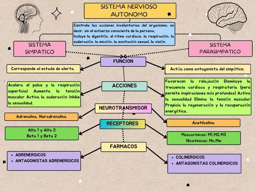 farmacologia sistema autónomo