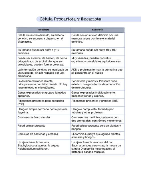 Célula procariota y eucariota