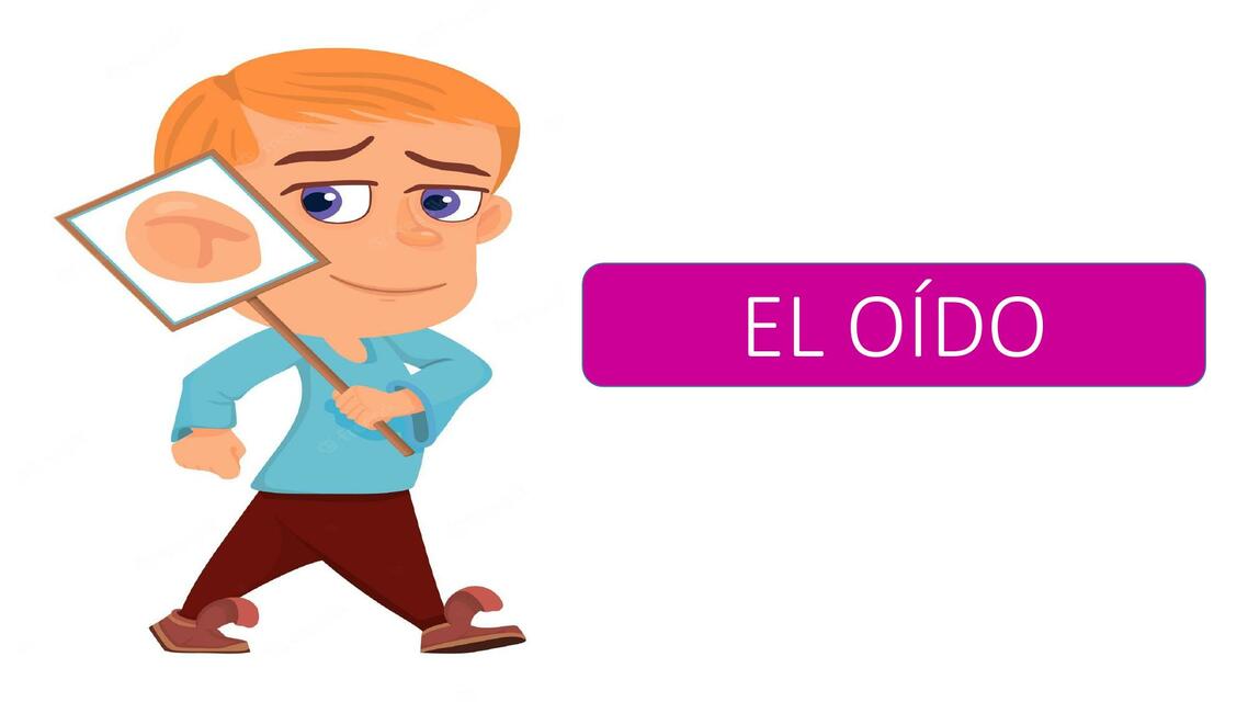 El Oído 