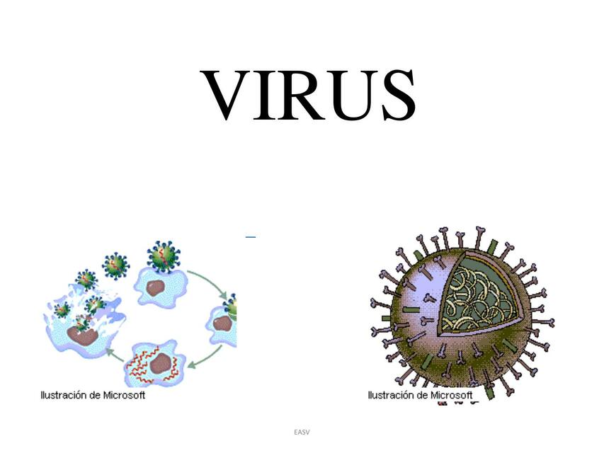 Virus  