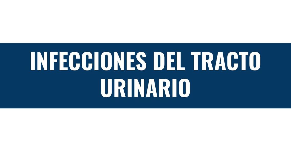 Infecciones del Tracto Urinario Imbler Regalado uDocz
