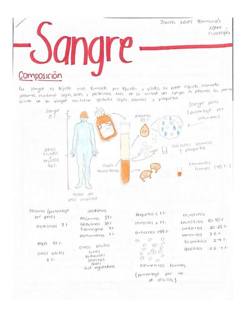 Composición de la Sangre