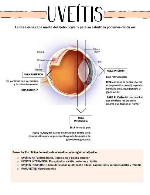 UVEITIS Resumen