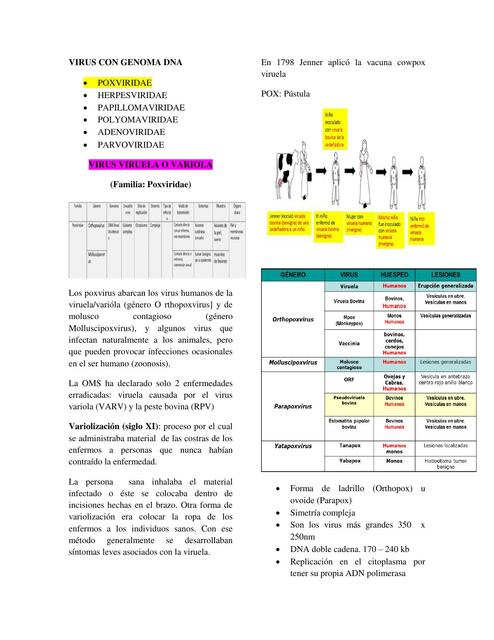 Resumen 2do Parcial Viro Diego Gonzalez Udocz