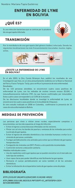 Enfermedad de Lyme