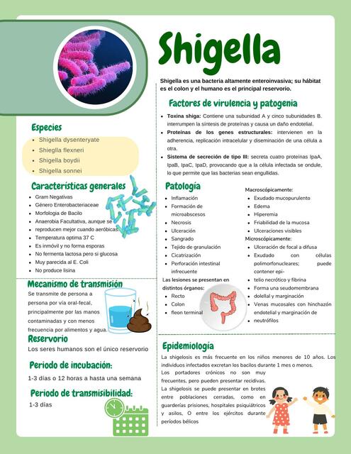 Shigella