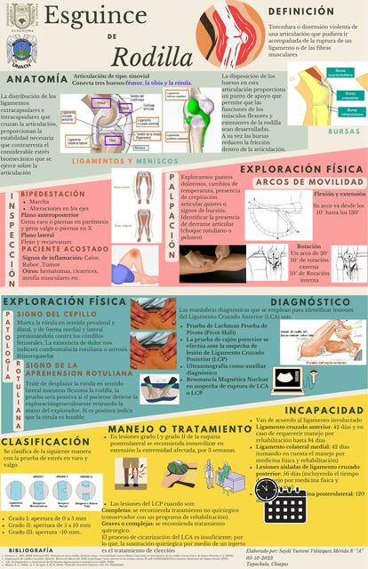 INFOGRAFIA RODILLA