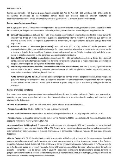 Plexo Cervical e Irrigación del Miembro Superior