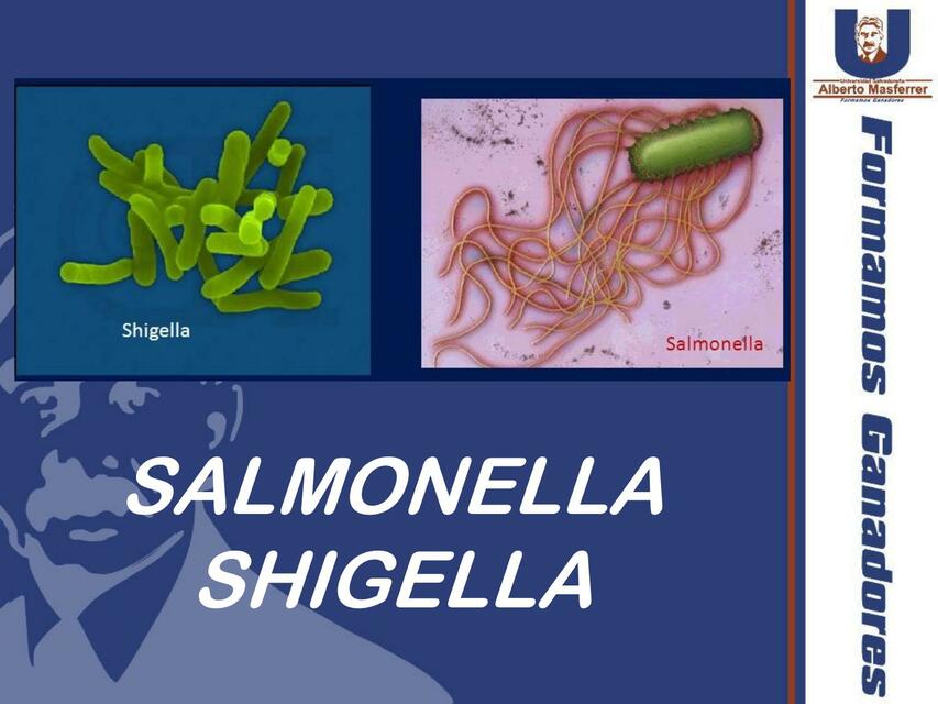 Salmonella- Shigella 