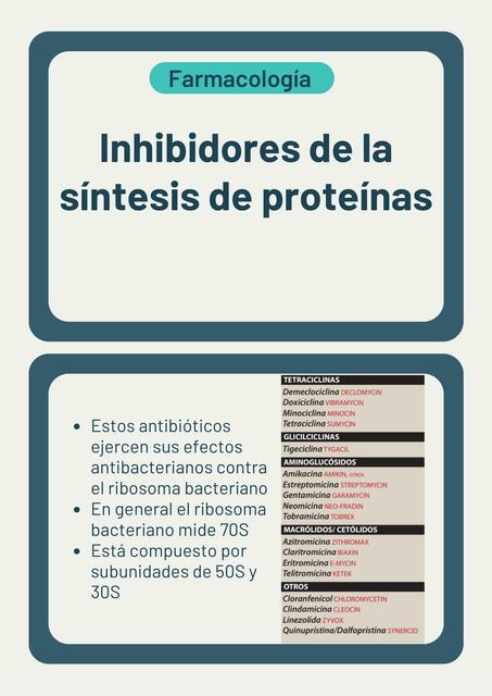 Inhibidores de la Síntesis de Proteínas 