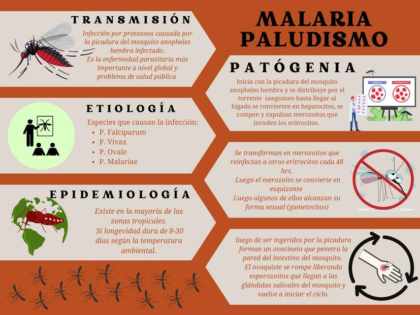 Malaria Paludismo