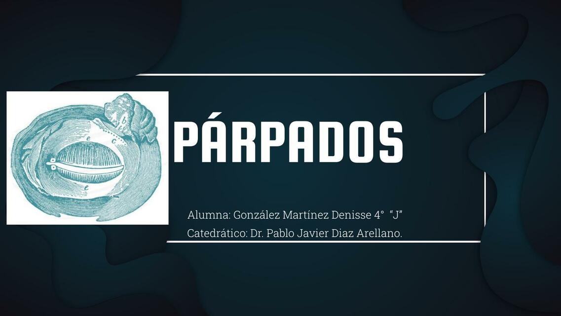 Parpados-Oftalmología 