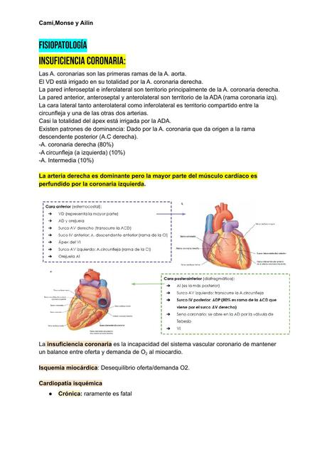 Fisiopatología Tercer parcial